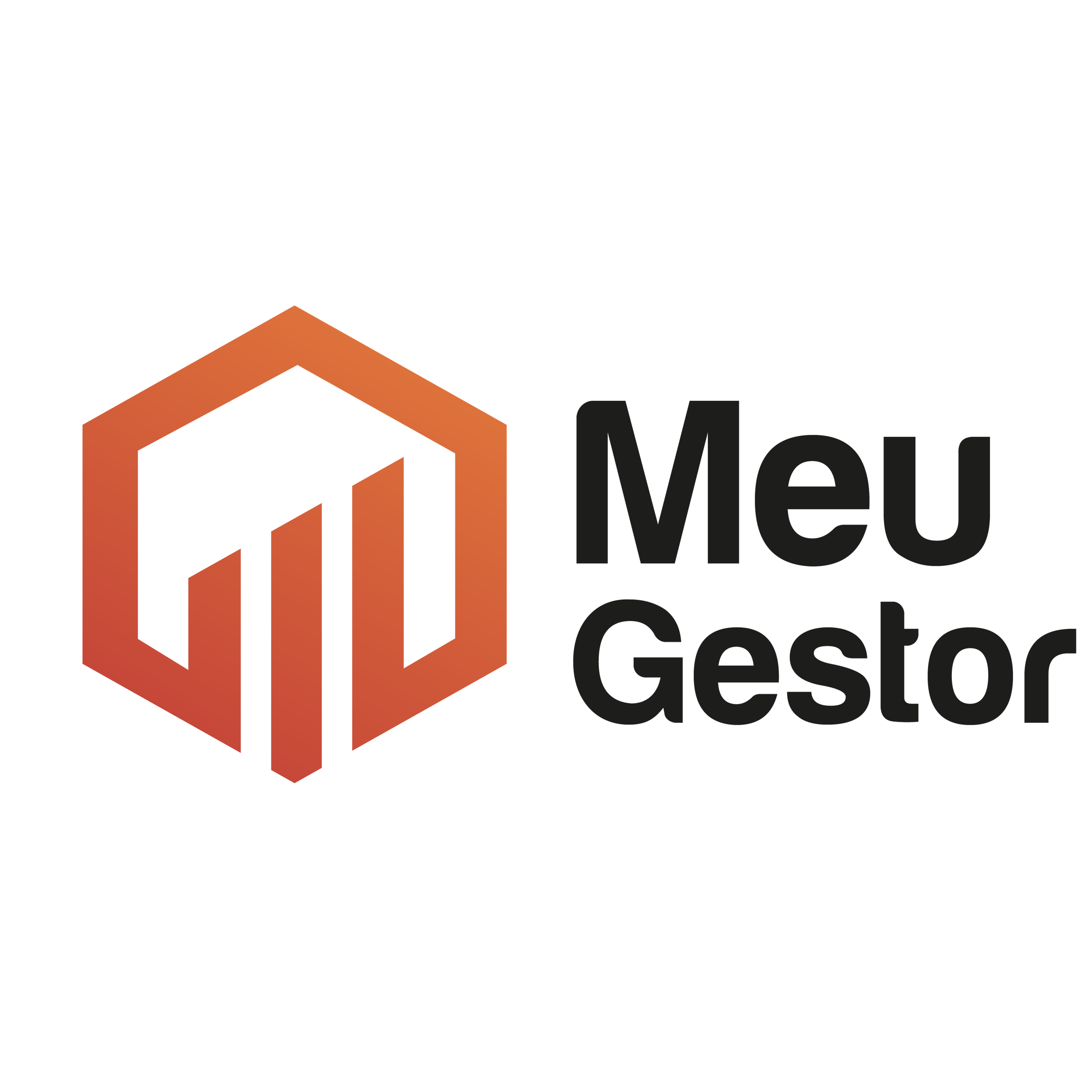 Meu Gestor